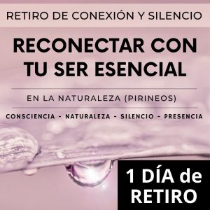 RETIRO RECONECTAR CON TU SER ESENCIAL - un día