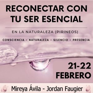 RETIRO RECONECTAR CON TU SER ESENCIAL + Complemento